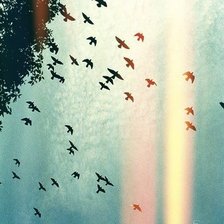 Схема вышивки «Птицы»