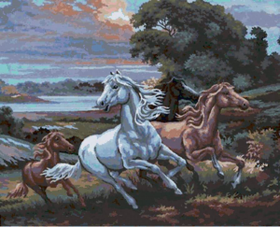 кони - лошади, кони - предпросмотр