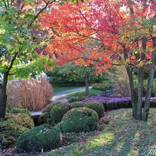 Схема вышивки «Осень в Ботаническом саду»