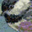 Предпросмотр схемы вышивки «Птицы в цветах» (№110175)