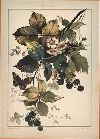 №110304 - открытка, винтаж, ретро, цветы - оригинал