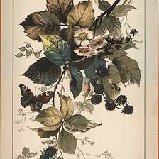 Схема вышивки «№110304»