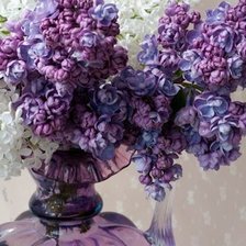 Схема вышивки «№110317»