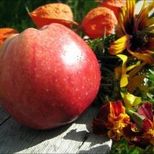 Схема вышивки «яблоко»