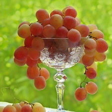 Схема вышивки «виноград»