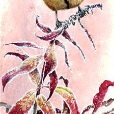 Схема вышивки «синица»