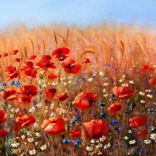 Схема вышивки «полевые цветы»