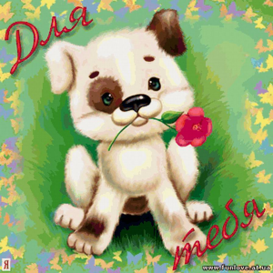 для тебя - животные - предпросмотр