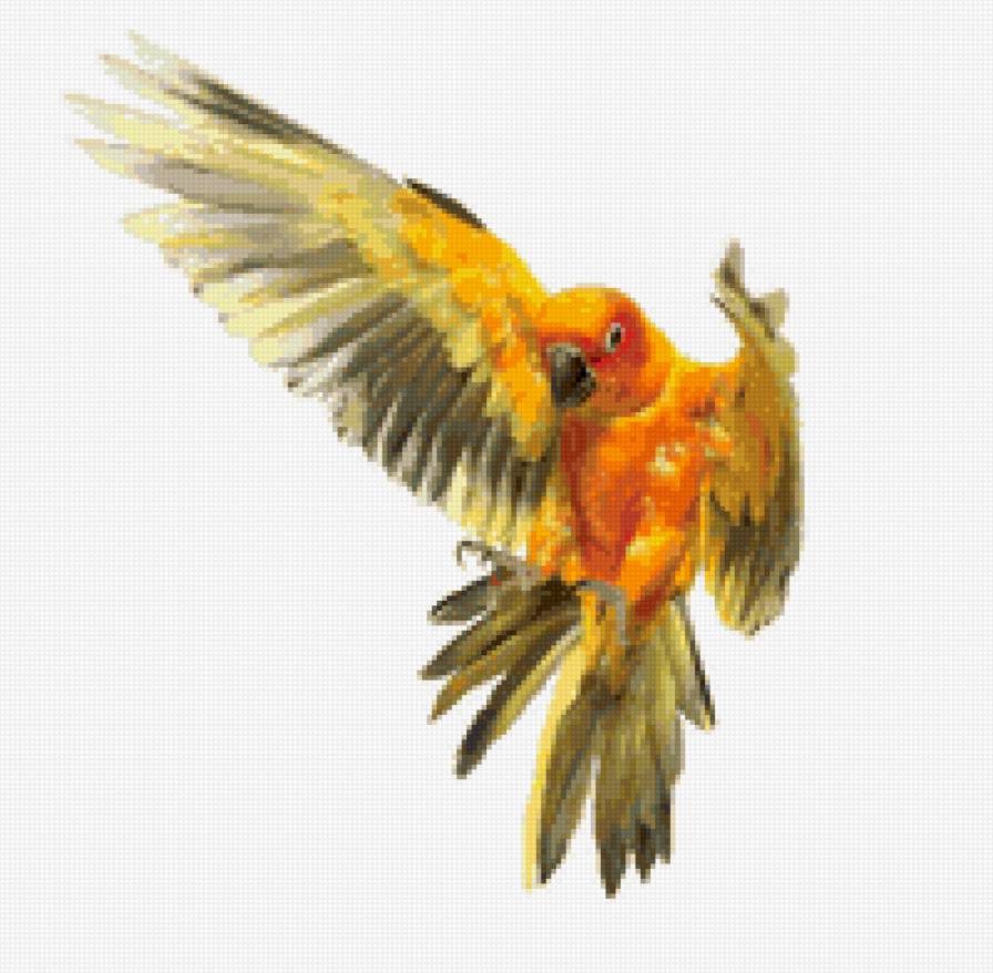 птицы - птица - предпросмотр