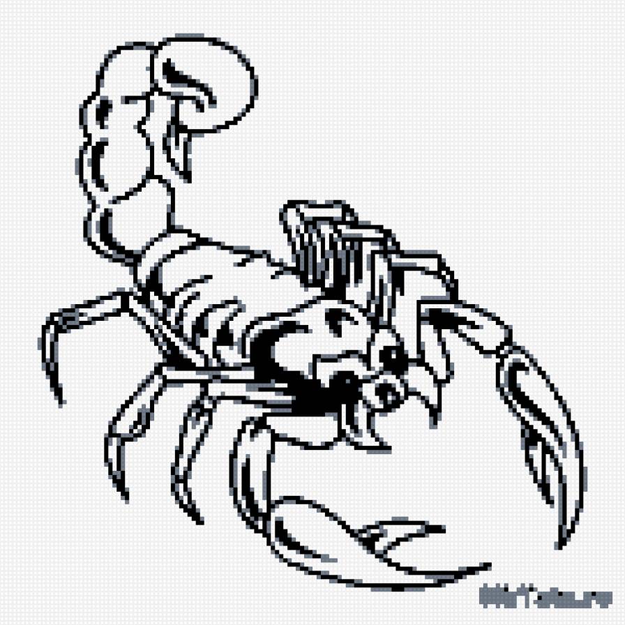 Скорпиончик - скорпион - предпросмотр