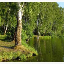 Схема вышивки «природа»