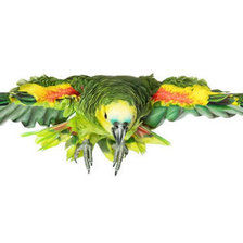 Схема вышивки «птица»