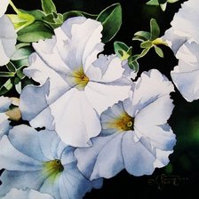 Схема вышивки «Серия "Букет"»