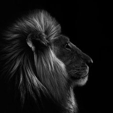 Схема вышивки «царь»