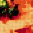 Предпросмотр схемы вышивки «маки» (№110989)