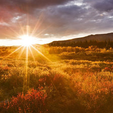 Схема вышивки «№111045»