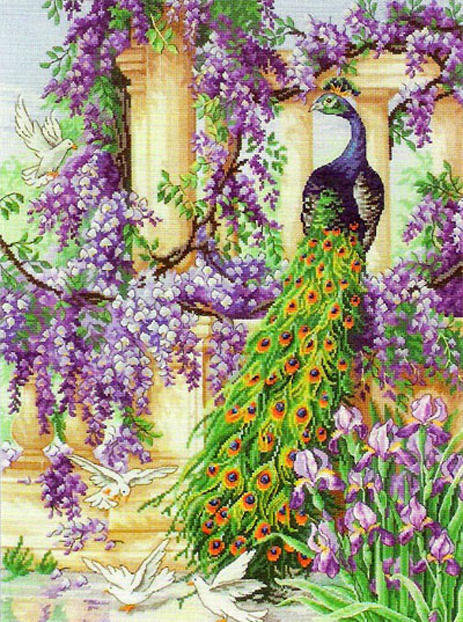 павлин - павлин, птицы, голуби, райские птицы, сад, ирисы, цветы, пейзаж - оригинал