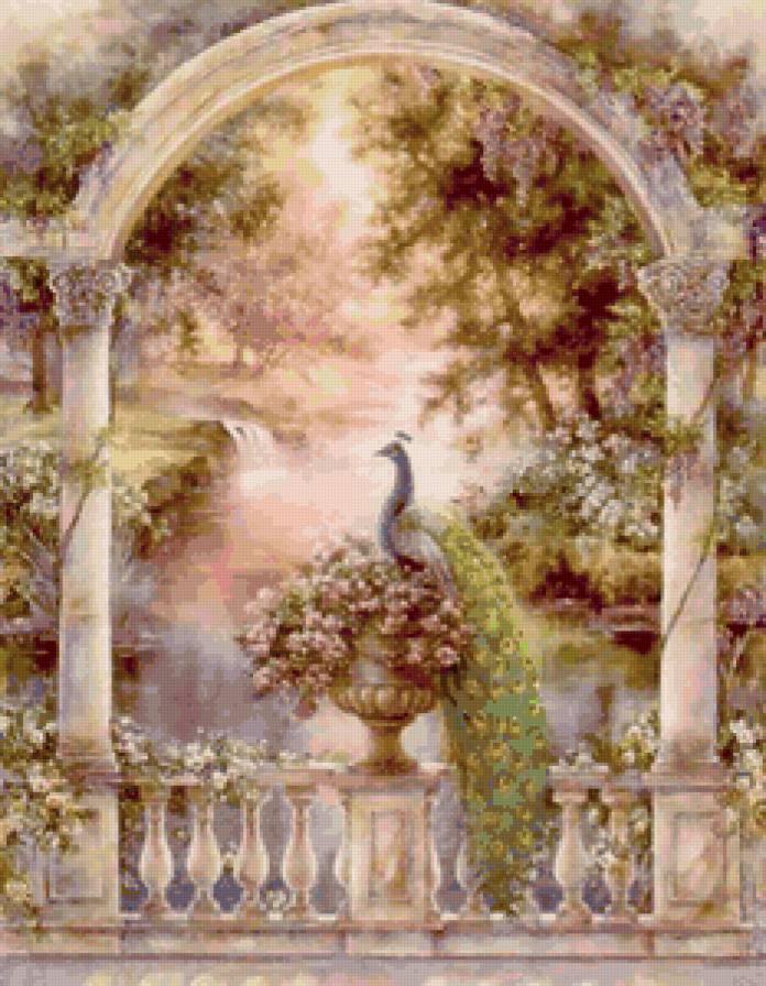 павлин в саду - терраса, сад, красота, птицы, павлин, пейзаж, экзотические птицы - предпросмотр