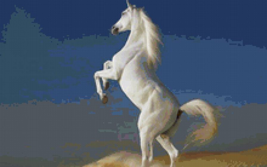 Белый конь - лошади - предпросмотр