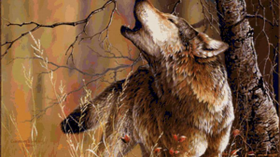 животные - животные - предпросмотр