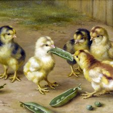 Схема вышивки «цыплята с горошком»