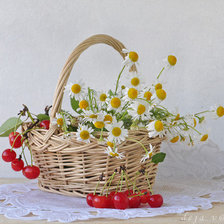 Схема вышивки «ромашки  и вишня»