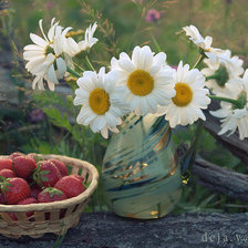 Схема вышивки «ромашки»