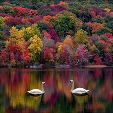 Схема вышивки «№111656»