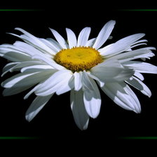 Схема вышивки «на черном фоне»