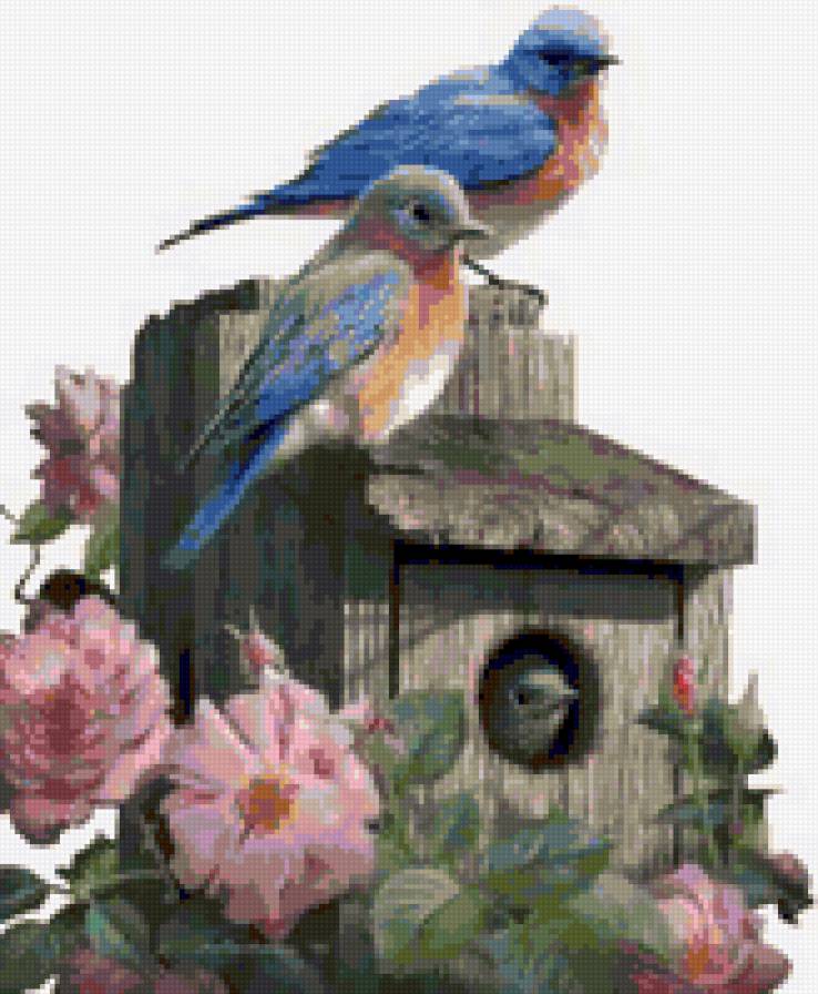 птички - птицы, природа - предпросмотр