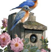 Схема вышивки «птички»