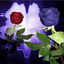 Схема вышивки «№111740»