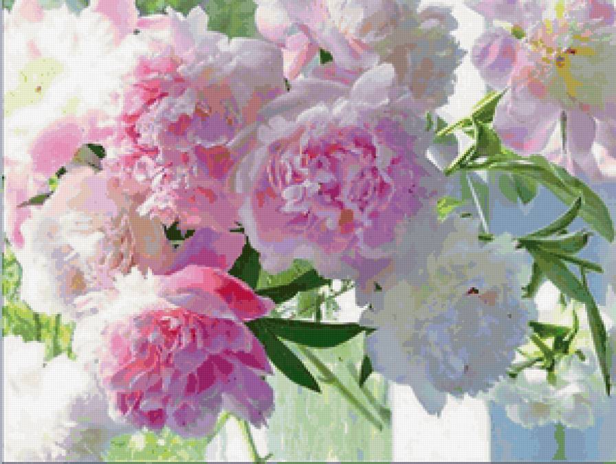 Букет пионов - букет, пион - предпросмотр