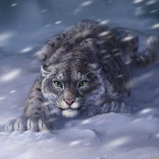 рысь в снегу