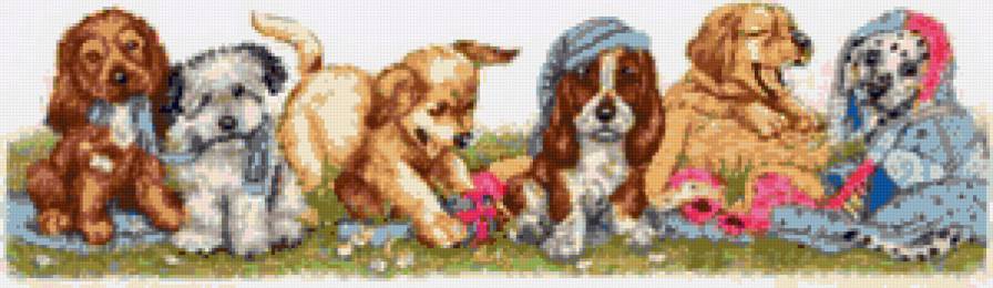 Малыши - щенок, собака, животные - предпросмотр