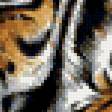 Предпросмотр схемы вышивки «тигры» (№111979)