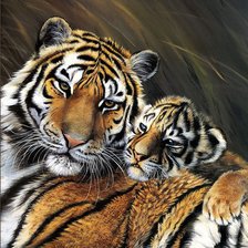 Схема вышивки «тигры»