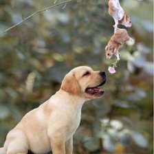 Схема вышивки «№111982»