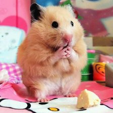 Схема вышивки «№111985»