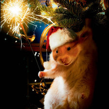 Схема вышивки «№111986»