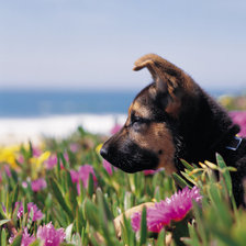 Схема вышивки «№111990»