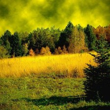 Схема вышивки «осенний лес»