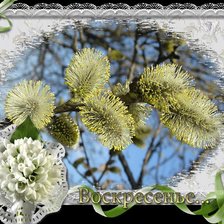 Схема вышивки «Вербное воскресенье»