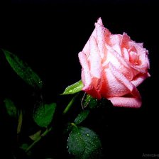 Схема вышивки «на черном фоне»