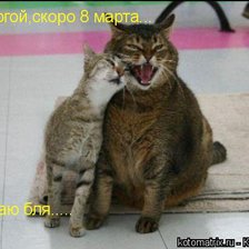 Схема вышивки «Прикол»