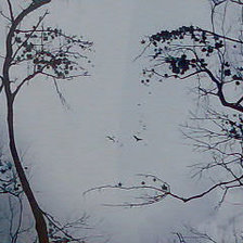 Схема вышивки «живая природа»