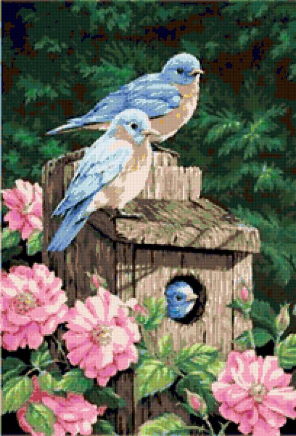 Гнёздышко - цветы, скворечник, розы, птицы, гнездо, весна, розочки, птица - предпросмотр