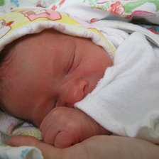 Схема вышивки «тоша»