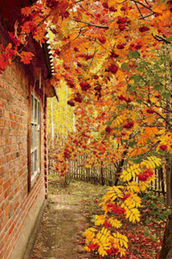 Рябиновый пожар - дом, рябина - предпросмотр