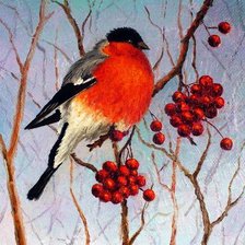 Схема вышивки «Снегирь и рябина»